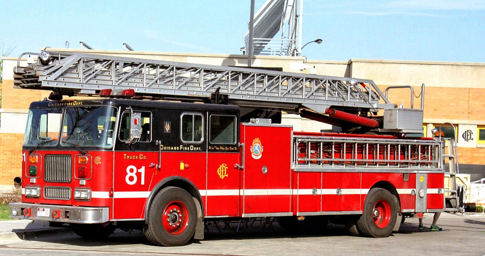 L 81.2.jpg