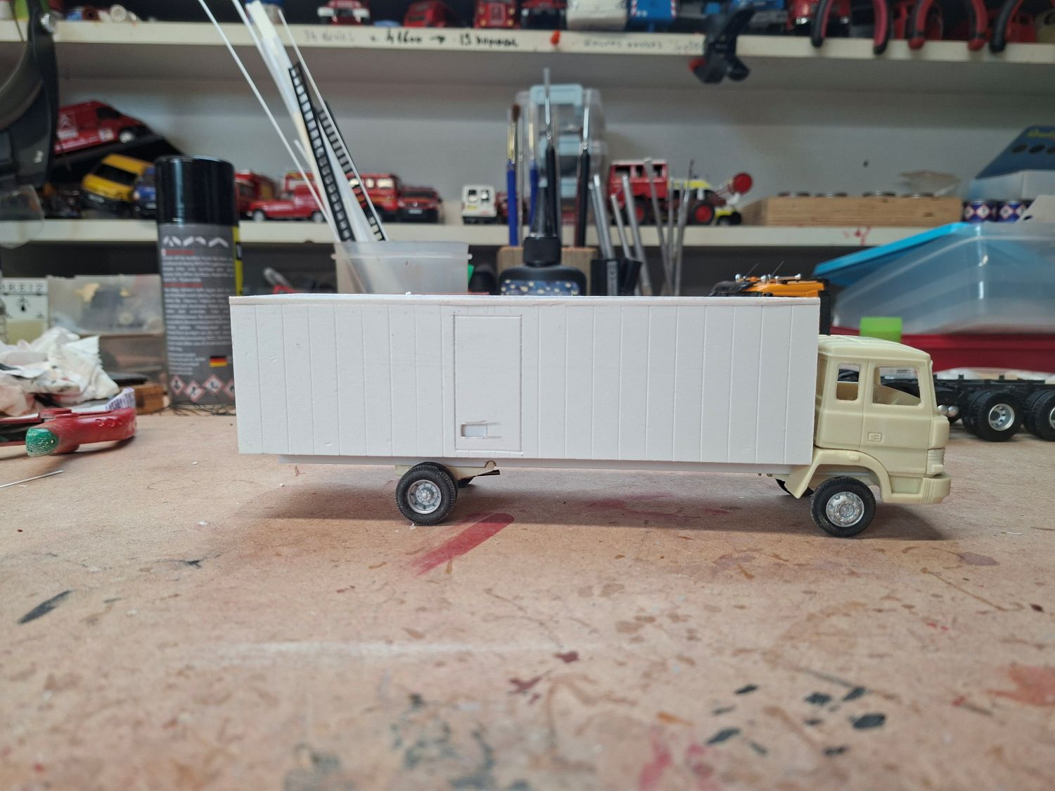 4894.jpg