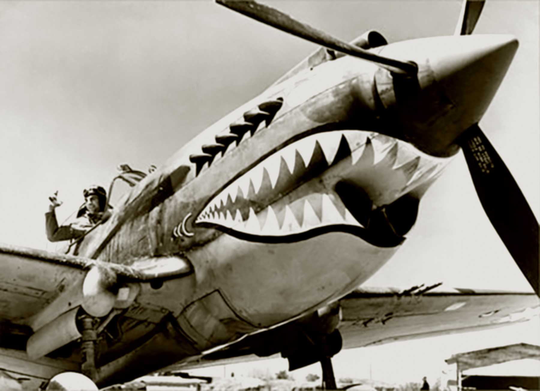 Curtiss-Hawk-81A2-AVG-23PG-shark-mouth-designs-03.jpg
