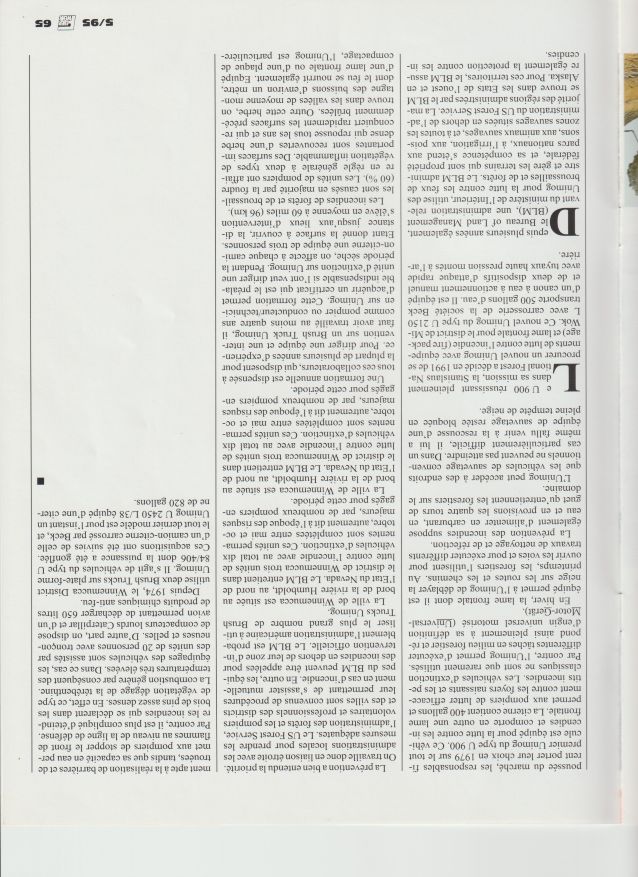 65.jpg